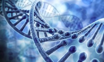 Ecstasy use is a highly heritable behavior, according to study of Dutch twins