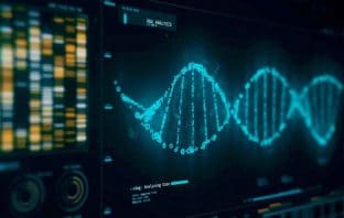 Scientists discover schizophrenia gene roles in brain development