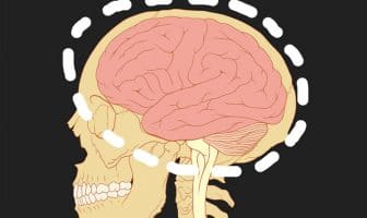 Callous and unemotional traits linked to brain structure in boys but not in girls