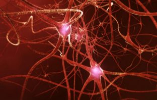 Blame tired brain cells for mental lapses after poor sleep