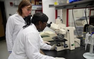 Neuroscientists shed light on causes of postpartum depression using new research model