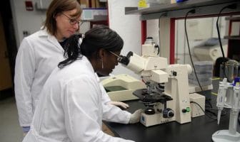 Neuroscientists shed light on causes of postpartum depression using new research model