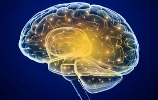 New study reveals why some people are more creative than others