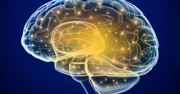 Openness to Experience linked to reduced cortical thickness in several brain regions