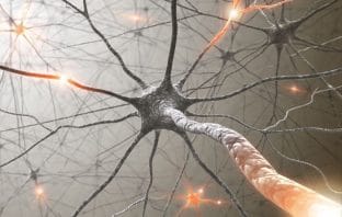 Link found between neurotransmitter imbalance, brain connectivity in those with autism