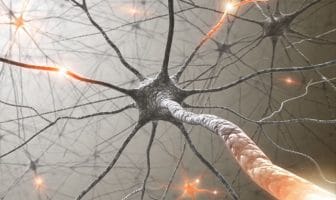 Brain connectivity study helps explain the neural link between depression and poor sleep quality