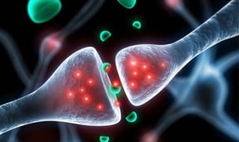 MDMA dampens the encoding and retrieval of emotional memories, study finds