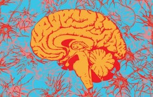 New study confirms some of the neurophysiological predictors of creativity