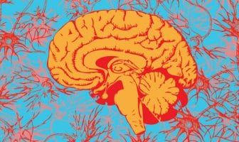 LSD alters the neural response to music in a number of brain regions, study finds