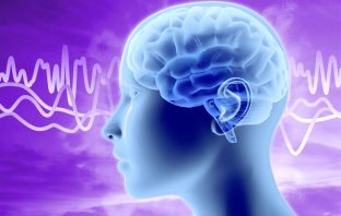 Study finds evidence for a human magnetic sense that lets your brain detect the Earth’s magnetic field