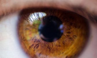 Study finds methamphetamine alters how the visual cortex responds to images
