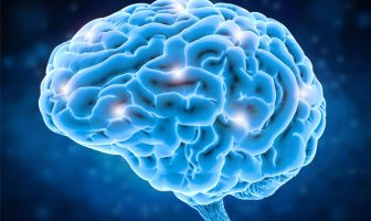 Risk of ecstasy-induced brain damage appears to be overestimated for the majority of users