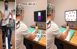 Fifteen minutes of exercise creates optimal brain state for mastering new motor skills