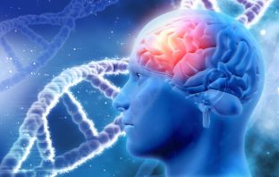 The link between cannabis use and psychotic-like experiences is largely the result of genetic factors