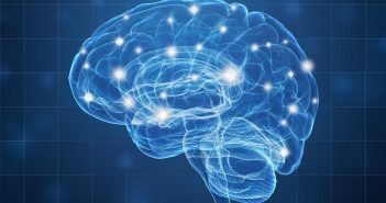 Heightened connectivity between two brain networks is associated with anger and aggression