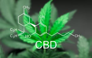 CBD for opioid addcition? Misinformation about cannabidiol can be life-threatening