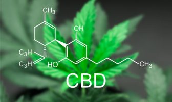 Cannabidiol induces a rapid and long-lasting antidepressant effect in rodent model of depression