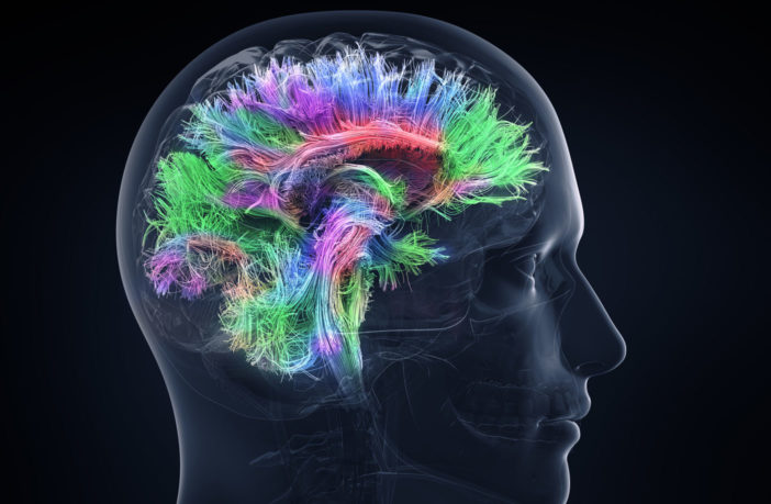 Neuroscience study uncovers psilocybin-induced changes in brain connectivity